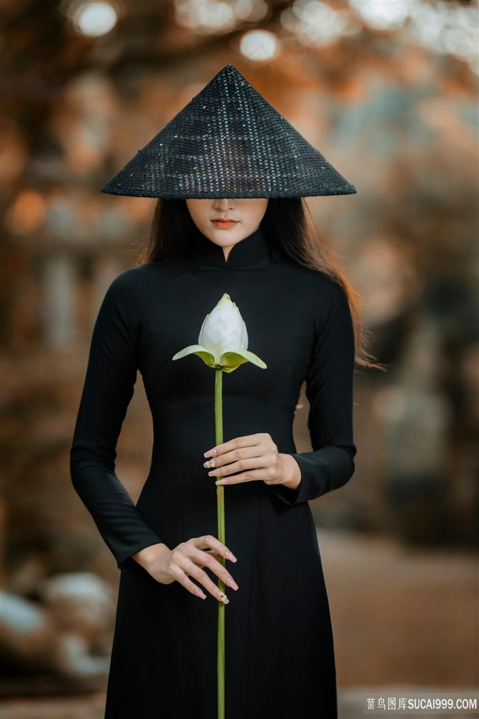 少女直播视频高清在线